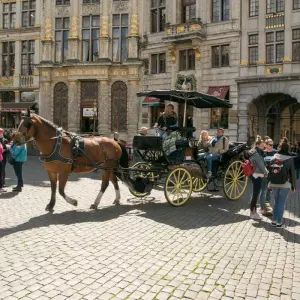 Zaštita prava životinja: Konjske zaprege u Bruxellesu bit će zamijenjene električnim modelima