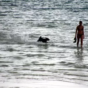 Crikvenički brend Monty’s Dog Beach širi se na globalno tržište