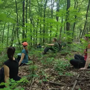 Od šumske kupke preko mitskih priča do koncerata - uskoro drugi ForestFest 
