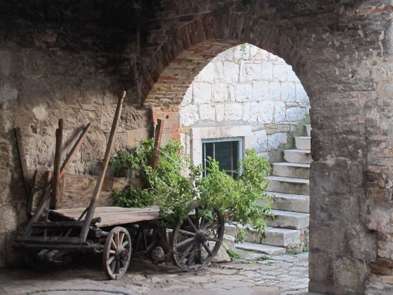 Foto: Božidarka Šćerbe Haupt