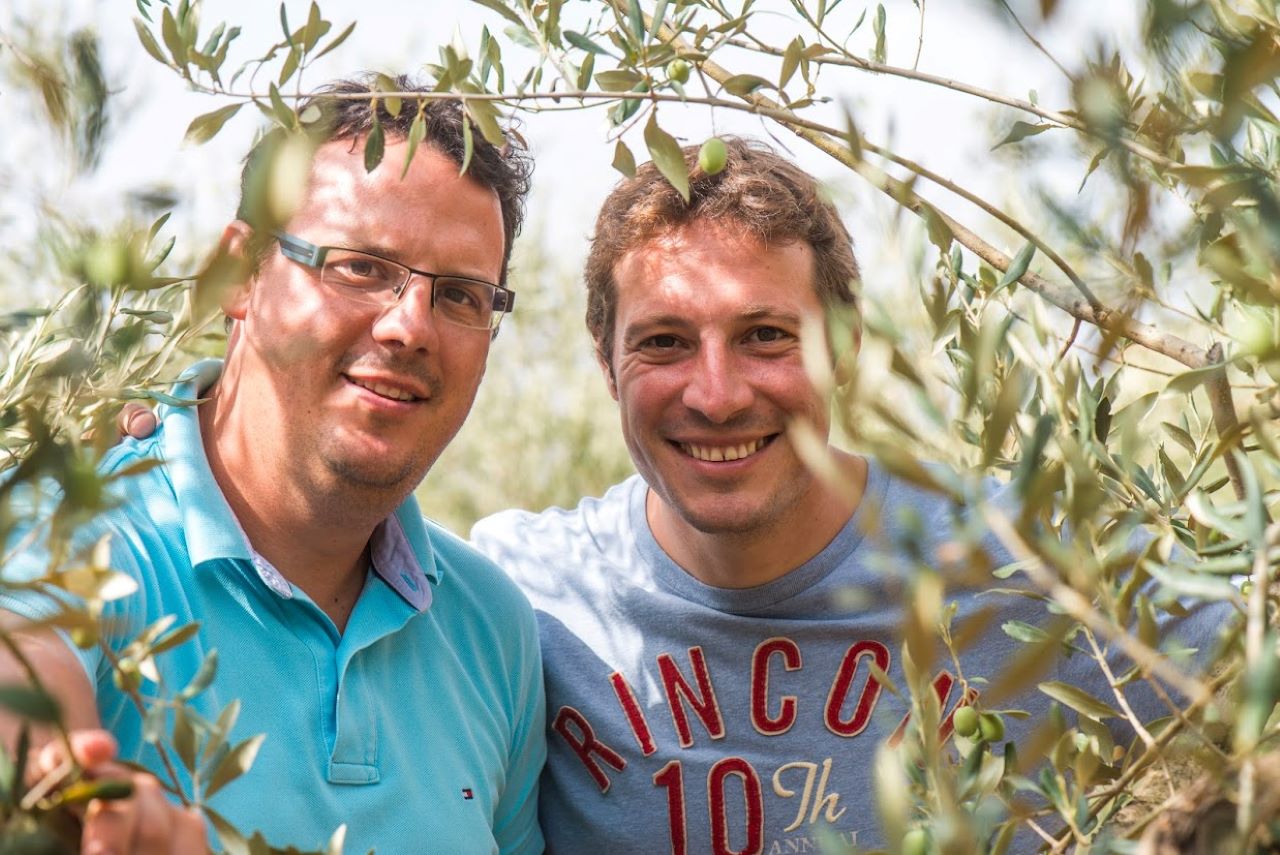 maslinarstvo, braća Chiavalon