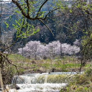 Japan nakon 48 godina povećava naknade za vize kako bi ih približio onima u Europi i SAD-u