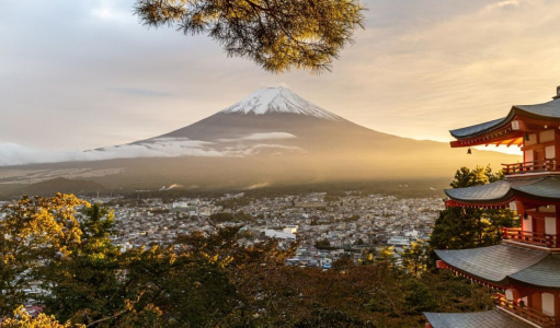 To reduce the number of visitors, they block the view of Mount Fuji