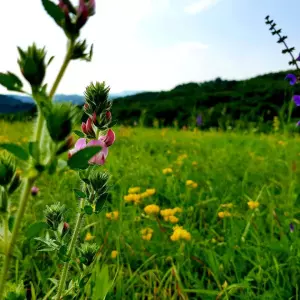Uskoro 13. hrvatski park prirode: usuglašen načelni obuhvat budućeg parka