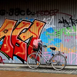 Problem grafita: U Madridu formiran odjel unutar gradske policije za borbu protiv vandala, što čini Rijeka?