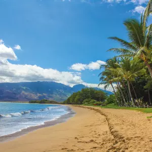 Hawaii passes important law to curb illegal short-term rentals