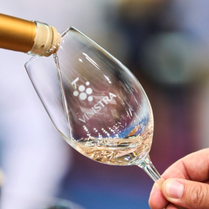 Vinistra jača međunarodnu poziciju