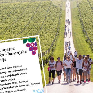 Not a day or a week, but a whole month: Osijek-Baranja County invites you to Wine Month