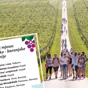 Not a day or a week, but a whole month: Osijek-Baranja County invites you to Wine Month