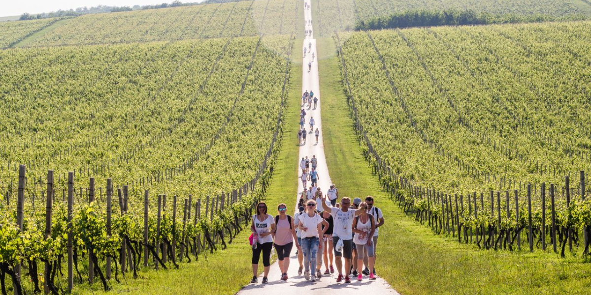 Ako domaće goste i dalje tretiramo kao “usputnu statistiku”, sami sebi režemo granu na kojoj sjedimo