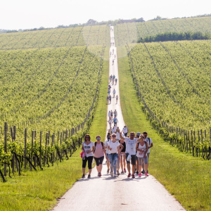 Ako domaće goste i dalje tretiramo kao “usputnu statistiku”, sami sebi režemo granu na kojoj sjedimo