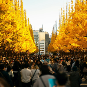 Disperzija turista: Besplatni domaći letovi za međunarodne posjetitelje Japana