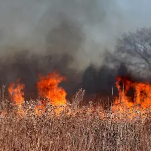 RescEU: Flota zrakoplova i helikoptera za gašenje požara diljem EU