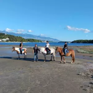 Zlatko Blagdan, Ranč Soline: Stanovnici otoka Raba turističkim iznajmljivanjem nikog ne oštećuju