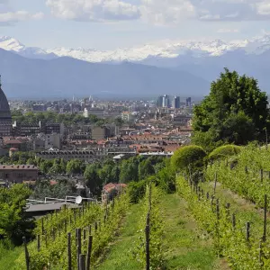 Torino i Benidorm nove su europske prijestolnice i ekološki pioniri pametnog turizma