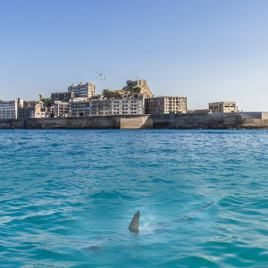 Ostvare li se Trumpove najave, Alcatraz više neće biti turistička atrakcija