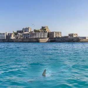 Ostvare li se Trumpove najave, Alcatraz više neće biti turistička atrakcija 