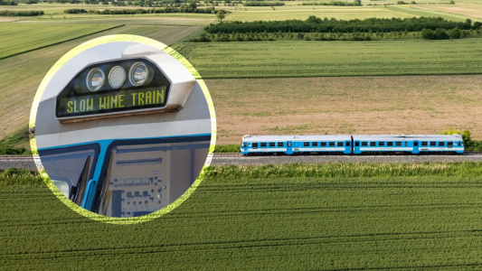 Slow Wine Train: sporo putovanje koje stvara dugoročnu vrijednost ili turizam s identitetom