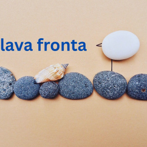Plava fronta - osnovana mreža za obranu obale i pomorskog dobra