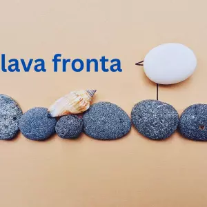 Plava fronta - osnovana mreža za obranu obale i pomorskog dobra