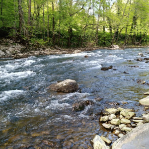 Britanci prosvjeduju zbog ograničenog prava pristupa riječnim obalama