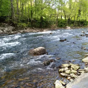 Britanci prosvjeduju zbog ograničenog prava pristupa riječnim obalama