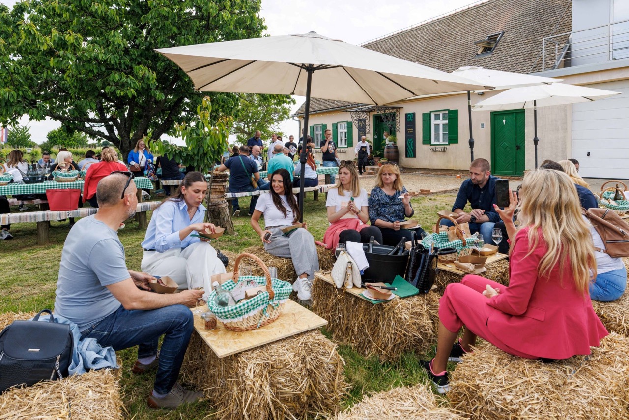 Slow wine train via slavonija i baranja6 foto mario durkic horizont solutions large