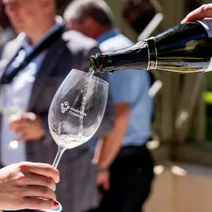 Graševina: kraljica slavonskih vinograda koja traži ozbiljan strateški iskorak