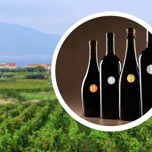 Decanter 2025: Povijesni uspjeh hrvatskih vinara s 386 osvojenih medalja