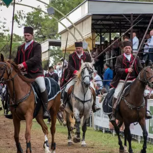 Barban dobiva Konjički centar obzanjeno je na 50. Trci na prstenac održanoj ovoga vikenda