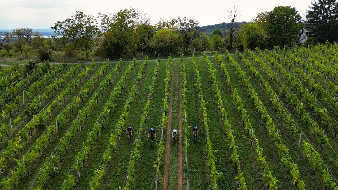 Tzbpz cycling bicikliranje turizam 22 vinogradi bicikliranje foto bikademy