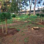 TZ grada Poreča provela projekt "Hrvatska prirodno tvoja" - "Croatia naturally yours"