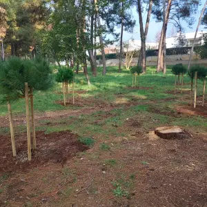 TZ grada Poreča provela projekt "Hrvatska prirodno tvoja" - "Croatia naturally yours"