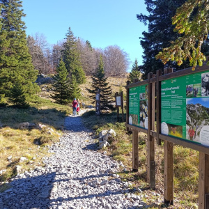 Studija: Pet ključnih trendova putovanja njemačkih putnika u 2026.  