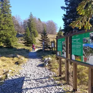 Trendovi putovanja njemačkih putnika u 2026.