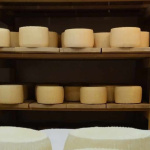 Istarski ovčji sir postao 52. hrvatski proizvod zaštićenog naziva u Europskoj uniji