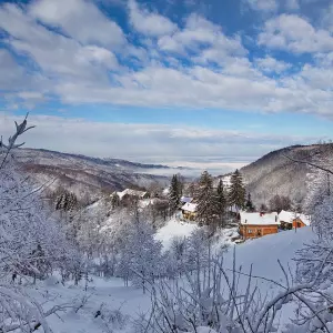 Ivana Alilović: Kao destinacija ne težimo masovnosti, nego kvaliteti