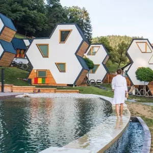 Slovenija je pčelarstvo pretvorila u turizam visoke vrijednosti: kako je apiturizam postao dio nacionalnog identiteta