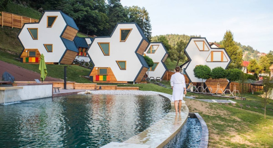 Slovenija je pčelarstvo pretvorila u turizam visoke vrijednosti: kako je apiturizam postao dio nacionalnog identiteta