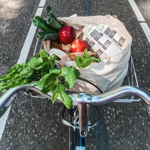 Putnici žele održivije putovati, ali cijena i dalje odlučuje