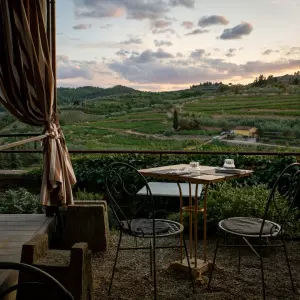 Dosta je priče o 'plavoj i zelenoj Hrvatskoj': Firenca je jasno pokazala da se lokalna proizvodnja štiti poslovnim procesima, a ne pričama