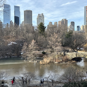 Zdrav razum i kraj skrivenih hotelskih naknada u New Yorku