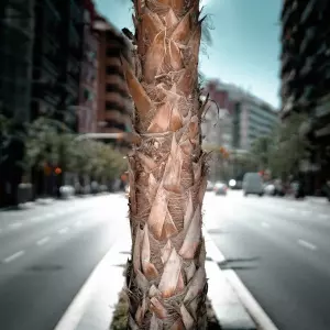 Fiskalni obrat u Europi: Nizozemska i Katalonija drastično podižu cijenu boravka