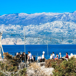 MarsOvca 2026: kad identitet postane meni, a meni postane strategija