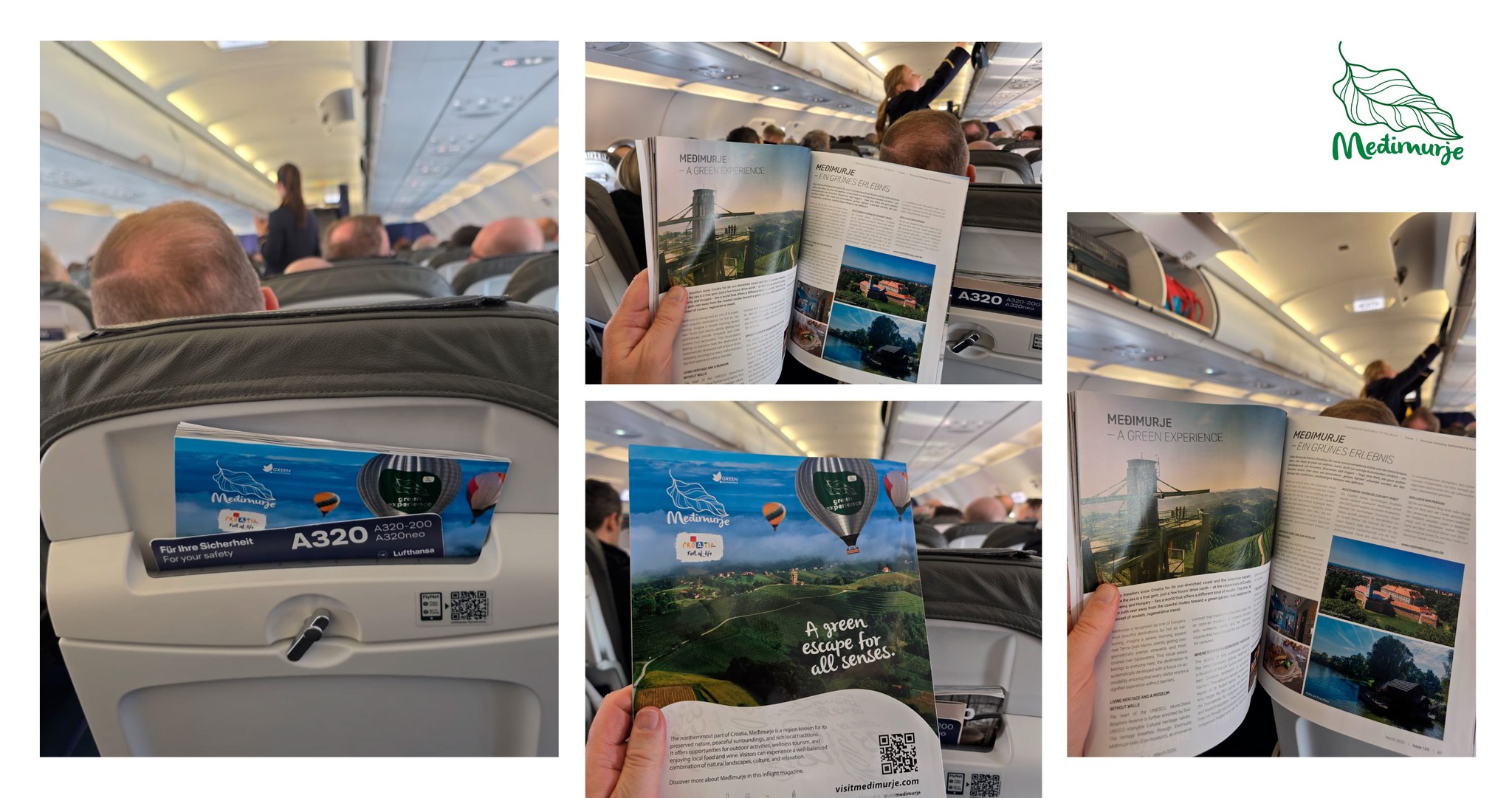 645384944 1360782849398567 100555710875992950 n