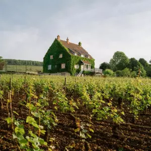 Airbnb: čak 60% rezervacija danas se ostvaruje izvan velikih gradova