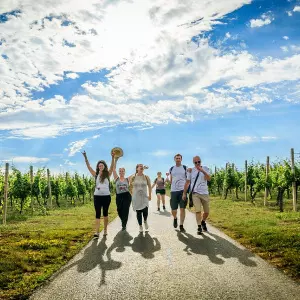 Vinski mjesec OBŽ: primjer povezivanja vinara, turizma i lokalne zajednice