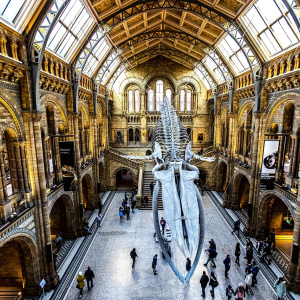 Hoće li se početi naplaćivati ulaz u dosad besplatne muzeje u Velikoj Britaniji?