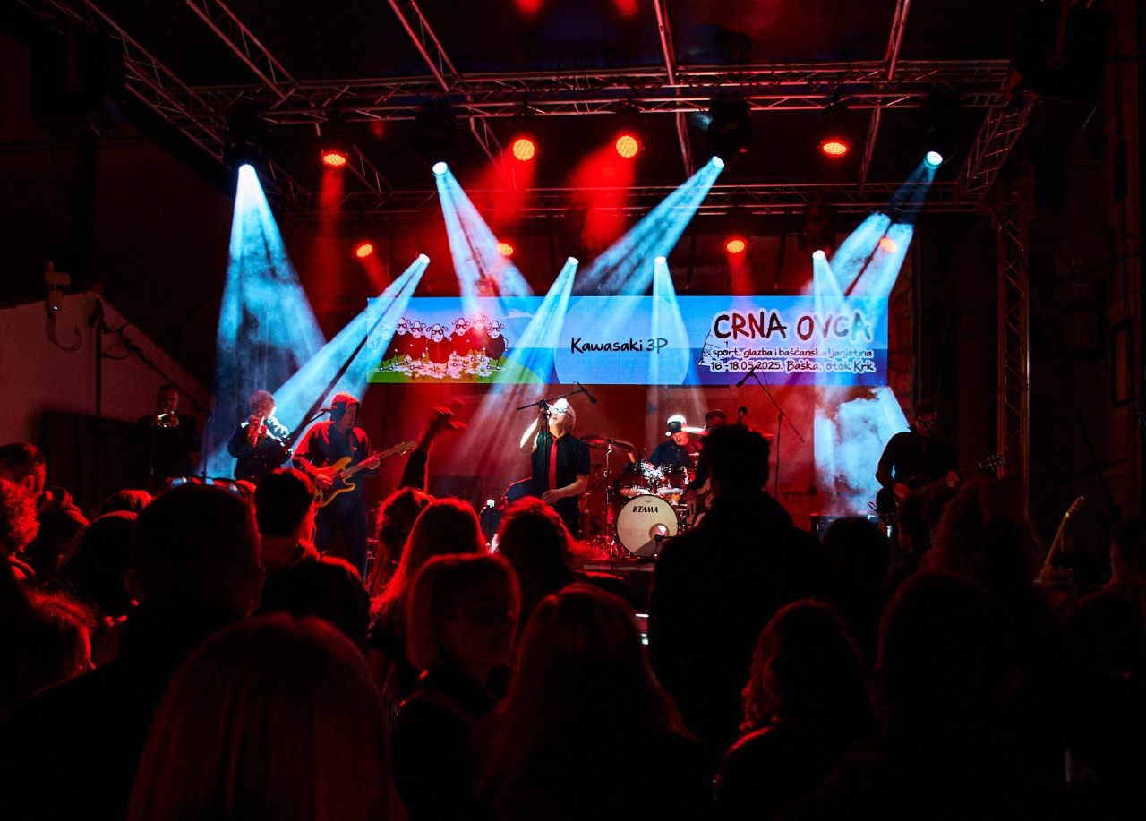 Crna ovca koncerti2