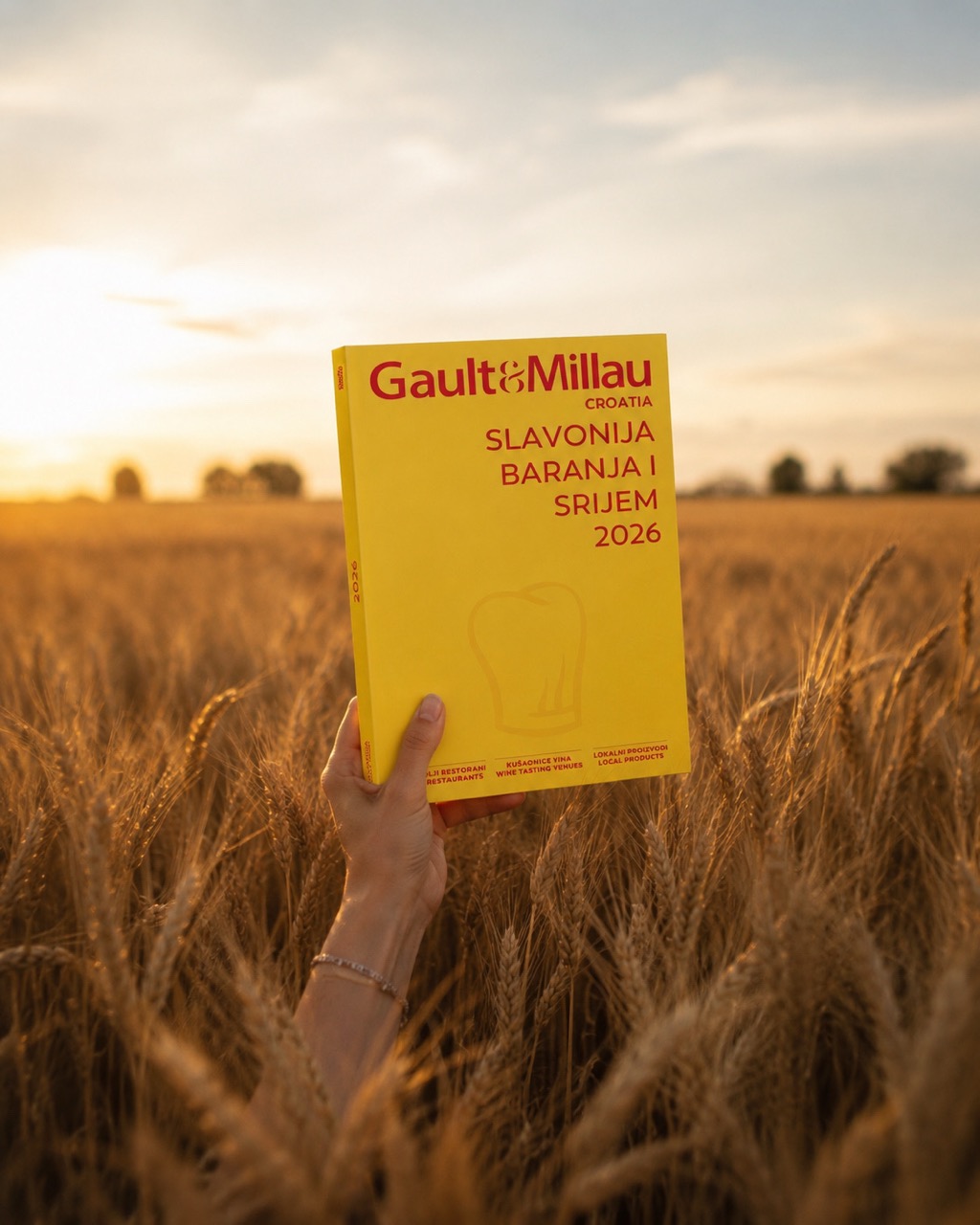 Prvo regionalno izdanje slavonija baranja i srijem large